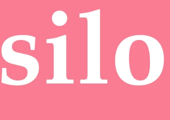 Synonym silo