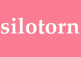 Synonym silotorn