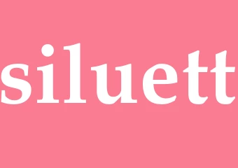 Synonym siluett