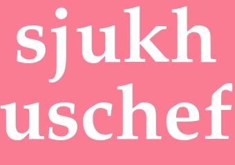 Synonym sjukhuschef