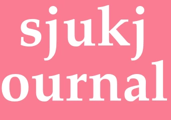 Synonym sjukjournal