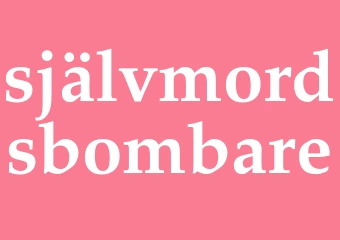Synonym självmordsbombare