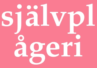 Synonym självplågeri