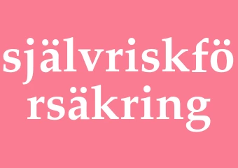 Synonym självriskförsäkring