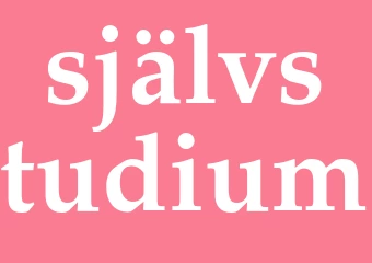 Synonym självstudium