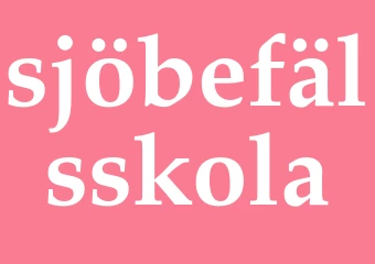 Synonym sjöbefälsskola