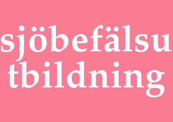 Synonym sjöbefälsutbildning