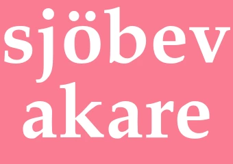 Synonym sjöbevakare