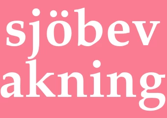 Synonym sjöbevakning
