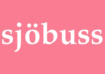 Synonym sjöbuss