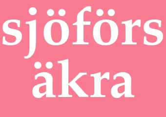 Synonym sjöförsäkra
