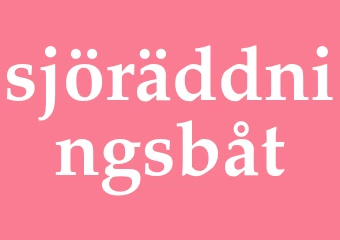 Synonym sjöräddningsbåt