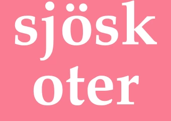 Synonym sjöskoter