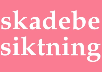 Synonym skadebesiktning
