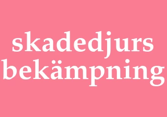 Synonym skadedjursbekämpning