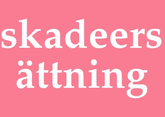 Synonym skadeersättning