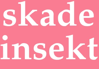 Synonym skadeinsekt