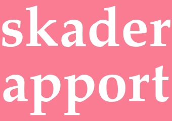 Synonym skaderapport