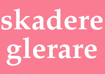 Synonym skadereglerare