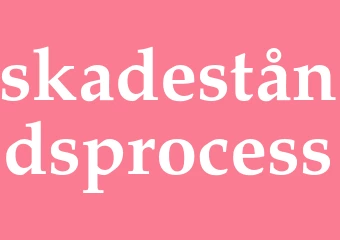 Synonym skadeståndsprocess