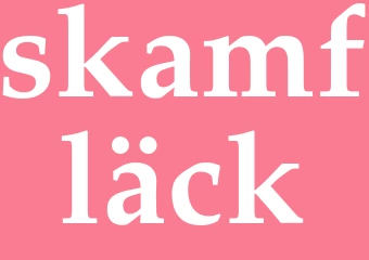 Synonym skamfläck