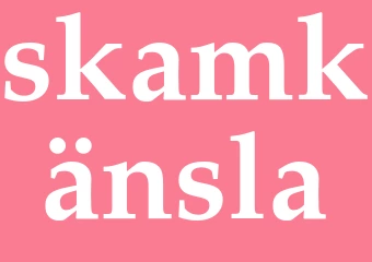Synonym skamkänsla