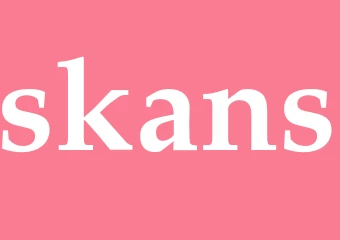 Synonym skans