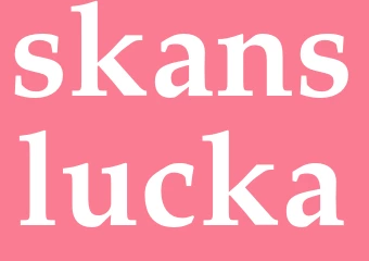 Synonym skanslucka