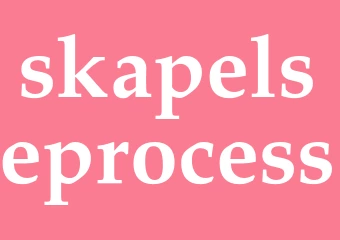 Synonym skapelseprocess