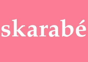 Synonym skarabé