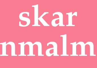 Synonym skarnmalm