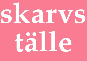 Synonym skarvställe