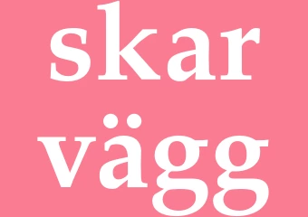 Synonym skarvägg