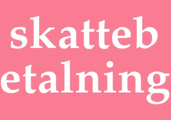 Synonym skattebetalning