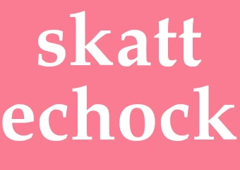 Synonym skattechock