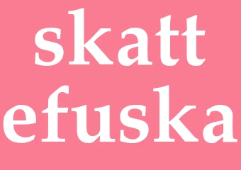 Synonym skattefuska