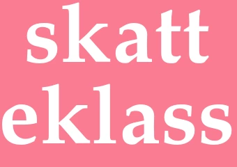 Synonym skatteklass