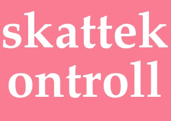 Synonym skattekontroll