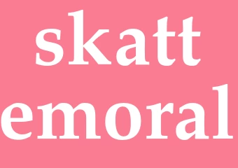 Synonym skattemoral