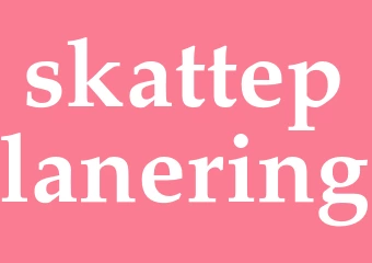 Synonym skatteplanering