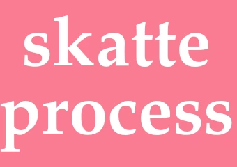 Synonym skatteprocess