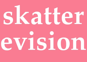 Synonym skatterevision