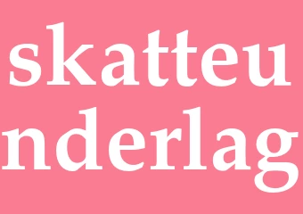 Synonym skatteunderlag