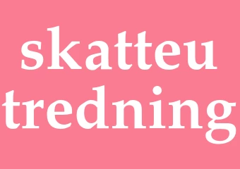 Synonym skatteutredning