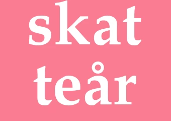 Synonym skatteår