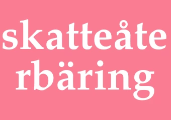 Synonym skatteåterbäring