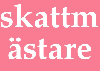 Synonym skattmästare