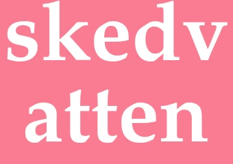 Synonym skedvatten