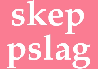 Synonym skeppslag