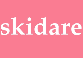 Synonym skidare